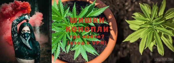 MESCALINE Богданович